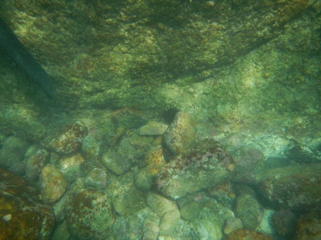 dscn1591